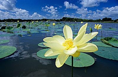 PS5 Pro？索尼将于明晚讲解PS5技术